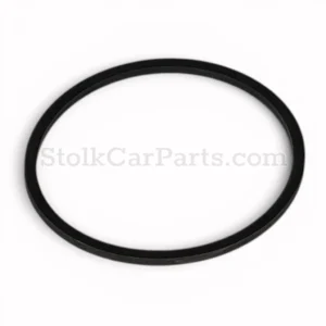 MB-1009970040-BR-NB Sealing ring